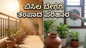 ಬಿಸಿಗಾಳಿಯ ಅಬ್ಬರ: ಮನೆಯನ್ನು ತಂಪಾಗಿಡಲು ಮತ್ತು ಆರೋಗ್ಯ ಕಾಪಾಡಿಕೊಳ್ಳಲು ಇಲ್ಲಿವೆ ಸರಳ ಉಪಾಯಗಳು