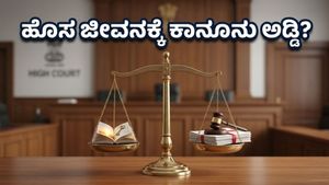 ಹೊಸ ಜೀವನ ಆರಂಭಿಸುವ ಮುನ್ನ ಎಚ್ಚರ: ವಿಚ್ಛೇದನ ಮತ್ತು ಕಾನೂನು ಹಕ್ಕುಗಳ ಬಗ್ಗೆ ಹೈಕೋರ್ಟ್ ಹೇಳಿದ್ದೇನು?