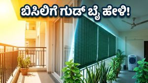ಸುಡುವ ಬಿಸಿಲಿಗೆ ಸುಸ್ತಾದ್ರಾ? ನಿಮ್ಮ ಮನೆಯನ್ನು ತಂಪಾಗಿಡಲು ಇಲ್ಲಿದೆ ಮ್ಯಾಜಿಕ್ ಟಿಪ್ಸ್!