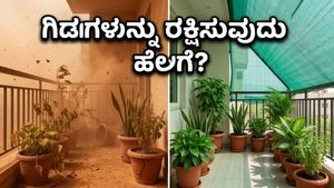 ಬಿರುಗಾಳಿ ಮತ್ತು ಬಿಸಿಲ ಬೇಗೆ: ನಿಮ್ಮ ಮನೆ ಮತ್ತು ಗಿಡಗಳನ್ನು ರಕ್ಷಿಸಿಕೊಳ್ಳುವುದು ಹೇಗೆ?