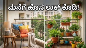 ಅಮೆಜಾನ್ ಸೇಲ್ ಶುರು: ನಿಮ್ಮ ಬಾಲ್ಕನಿಯನ್ನು ಸುಂದರ ತೋಟವನ್ನಾಗಿಸಲು ಮಿಸ್ ಮಾಡ್ಬೇಡಿ ಈ ಬೆಸ್ಟ್ ಡೀಲ್ಸ್!