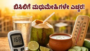 ಬಿಸಿಲ ಬೇಗೆಯಲ್ಲಿ ಮಧುಮೇಹಿಗಳ ಪರದಾಟ: ಸಕ್ಕರೆ ಮಟ್ಟ ಏರಿಕೆಯಾಗದಂತೆ ತಂಪಾಗಿರಲು ಈ ಪಾನೀಯಗಳೇ ಮದ್ದು!