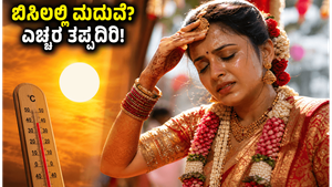 45 ಡಿಗ್ರಿ ಬಿಸಿಲಲ್ಲಿ ಮದುವೆ ಪ್ಲಾನ್ ಮಾಡ್ತಿದ್ದೀರಾ? ಅತಿಥಿಗಳ ಆರೋಗ್ಯಕ್ಕಾಗಿ ಈ ಎಚ್ಚರಿಕೆ ಮರೆಯದಿರಿ!
