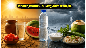 ಬಿಸಿಲು-ಮಳೆಯ ಆಟದಲ್ಲಿ ಸುಸ್ತಾಗಿದ್ದೀರಾ? ಆರೋಗ್ಯ ಕಾಪಾಡಿಕೊಳ್ಳಲು ಈ ಸರಳ ಆಹಾರ ಕ್ರಮಗಳನ್ನು ಮಿಸ್ ಮಾಡಬೇಡಿ!