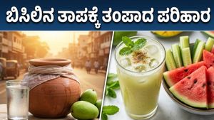 ಭಾರತದಲ್ಲಿ ಸುಡುವ ಬಿಸಿಲು: ಹೀಟ್ ವೇವ್‌ನಿಂದ ಪಾರಾಗಲು ಇಲ್ಲಿವೆ ಬೆಸ್ಟ್ ಡಯಟ್ ಮತ್ತು ಹೈಡ್ರೇಶನ್ ಟಿಪ್ಸ್!