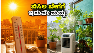 ಹೀಟ್‌ವೇವ್ ಎಚ್ಚರಿಕೆ: ಸುಡುವ ಬಿಸಿಲಲ್ಲೂ ನಿಮ್ಮ ಮನೆಯನ್ನು ತಂಪಾಗಿಡಲು ಮತ್ತು ಗಿಡಗಳನ್ನು ಉಳಿಸಲು ಈ ಟಿಪ್ಸ್ ಸಾಕು!