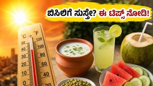 ಬಿಸಿಲಿನ ಬೇಗೆಯಿಂದ ಸುಸ್ತಾಗಿದ್ದೀರಾ? ಹೀಟ್ ಸ್ಟ್ರೋಕ್ ತಡೆಯಲು ಈ ತಂಪು ಆಹಾರಗಳೇ ನಿಮಗೆ ಮದ್ದು!