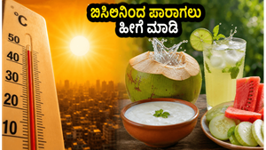 ಬಿಸಿಲಿನ ತಾಪಕ್ಕೆ ಸುಸ್ತಾಗಿದ್ದೀರಾ? ಈ ಸರಳ ಆಹಾರ ಬದಲಾವಣೆ ನಿಮ್ಮನ್ನು ಹೀಟ್‌ಸ್ಟ್ರೋಕ್‌ನಿಂದ ರಕ್ಷಿಸುತ್ತದೆ!