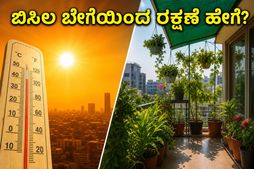 ಬಿಸಿಲ ಬೇಗೆಯಿಂದ ಮನೆ ಮತ್ತು ಗಿಡಗಳನ್ನು ರಕ್ಷಿಸುವುದು ಹೇಗೆ? ತಾಪಮಾನ ಏರಿಕೆಯ ನಡುವೆ ಈ ಟಿಪ್ಸ್ ಮಿಸ್ ಮಾಡ್ಬೇಡಿ!