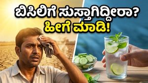ಬಿಸಿಲ ಧಗೆಯಿಂದ ಸುಸ್ತಾಗಿದ್ದೀರಾ? ದೇಹವನ್ನು ತಂಪಾಗಿಡಲು ಈ ಪಾನೀಯಗಳೇ ಮದ್ದು!