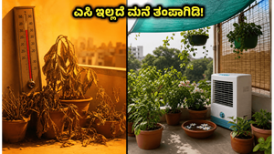 ಬಿಸಿಲ ಬೇಗೆಯಿಂದ ಮನೆ ತತ್ತರ: ಎಸಿ ಇಲ್ಲದೆಯೇ ಮನೆಯನ್ನು ತಂಪಾಗಿಡಲು ಮತ್ತು ಗಿಡಗಳನ್ನು ಉಳಿಸಲು ಈ ಸರಳ ಉಪಾಯಗಳನ್ನು ಮಿಸ್ ಮಾಡ್ಬೇಡಿ!