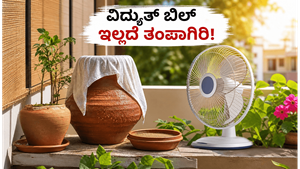 ಬಿಸಿಲ ಬೇಗೆಯಿಂದ ತತ್ತರಿಸಿದ್ದೀರಾ? ವಿದ್ಯುತ್ ಬಿಲ್ ಇಲ್ಲದೆ ಮನೆಯನ್ನು ತಂಪಾಗಿಡಲು ಇಲ್ಲಿದೆ ಮ್ಯಾಜಿಕ್ ಟಿಪ್ಸ್!