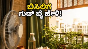 ಬಾಡಿಗೆ ಮನೆಯಲ್ಲಿ ಬಿಸಿಲಿನ ಬೇಗೆಯಿಂದ ಪಾರಾಗುವುದು ಹೇಗೆ? ಕರೆಂಟ್ ಬಿಲ್ ಉಳಿಸುವ ಸೀಕ್ರೆಟ್ ಟಿಪ್ಸ್ ಇಲ್ಲಿದೆ!
