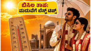 ಬಿಸಿಲ ಧಗೆಯಲ್ಲಿ ಮದುವೆ ಸಮಾರಂಭಗಳ ಸಂಕಟ: ಅತಿಥಿಗಳಿಗೂ ನಿಮಗೂ ಆರಾಮ ನೀಡುವ ಸೀಕ್ರೆಟ್ ಟಿಪ್ಸ್ ಇಲ್ಲಿದೆ!
