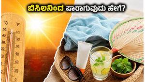 ಬಿಸಿಲಿನ ಬೇಗೆಯಿಂದ ತತ್ತರಿಸಿದ ಕರ್ನಾಟಕ: ಮನೆಯಲ್ಲೇ ತಂಪಾಗಿರಲು ನೀವು ಮಾಡಬೇಕಾದ ಆ 5 ಬದಲಾವಣೆಗಳೇನು?
