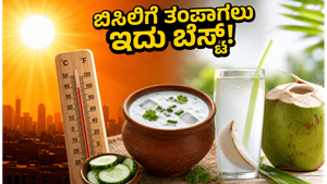ಬಿಸಿಲ ಬೇಗೆಗೆ ರೆಡ್ ಅಲರ್ಟ್: ಹೀಟ್ ಸ್ಟ್ರೋಕ್‌ನಿಂದ ಪಾರಾಗಲು ಈ ಮನೆಮದ್ದುಗಳನ್ನು ಇಂದೇ ಟ್ರೈ ಮಾಡಿ!
