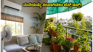 ಉತ್ತರ ಭಾರತದಲ್ಲಿ ಸುಡುವ ಬಿಸಿಲು: ಮನೆಯನ್ನು ತಂಪಾಗಿಡಲು ಮತ್ತು ಗಿಡಗಳನ್ನು ಬಚಾವ್ ಮಾಡಲು ಈ ಟಿಪ್ಸ್ ಫಾಲೋ ಮಾಡಿ!