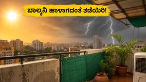 ದಿಢೀರ್ ಬಿರುಗಾಳಿ ಮತ್ತು ಬಿಸಿಲಿನಿಂದ ನಿಮ್ಮ ಬಾಲ್ಕನಿ ಹಾಳಾಗುತ್ತಿದೆಯೇ? ಮನೆಯನ್ನು ಸುರಕ್ಷಿತವಾಗಿಡಲು ಇಲ್ಲಿವೆ ಸರಳ ಟಿಪ್ಸ್!