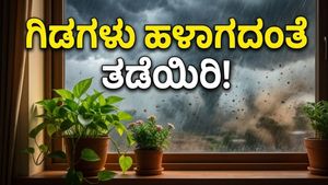 ಬಿರುಗಾಳಿ ಮಳೆಗೆ ನಿಮ್ಮ ಬಾಲ್ಕನಿ ಗಾರ್ಡನ್ ನಲುಗುತ್ತಿದೆಯೇ? ಗಿಡಗಳನ್ನು ಉಳಿಸಲು ಈ ಟಿಪ್ಸ್ ಮಿಸ್ ಮಾಡ್ಬೇಡಿ!