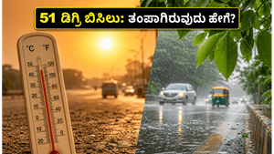 ದೆಹಲಿಯ ಸುಡುವ ಬಿಸಿಲು: 51 ಡಿಗ್ರಿ ತಾಪಮಾನದಲ್ಲಿ ನಿಮ್ಮನ್ನು ತಂಪಾಗಿರಿಸುವ ಸರಳ ಆರೋಗ್ಯ ಟಿಪ್ಸ್