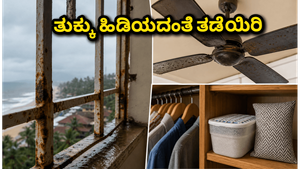 ಮಳೆಗಾಲದ ತೇವಾಂಶದಿಂದ ನಿಮ್ಮ ಮನೆ ಮತ್ತು ವಸ್ತುಗಳನ್ನು ರಕ್ಷಿಸಲು ಇಲ್ಲಿವೆ ಸರಳ ಟಿಪ್ಸ್!