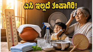 ಉತ್ತರ ಪ್ರದೇಶದಲ್ಲಿ ಬಿಸಿಲ ಬೇಗೆ: ಎಸಿ ಇಲ್ಲದೆಯೂ ಮನೆಯನ್ನು ತಂಪಾಗಿಡಲು ಈ ಸರಳ ಟಿಪ್ಸ್ ಮಿಸ್ ಮಾಡ್ಬೇಡಿ!