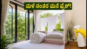 ಮಳೆ ನಂತರ ದೆಹಲಿ-ಎನ್‌ಸಿಆರ್‌ನಲ್ಲಿ ಶುದ್ಧ ಗಾಳಿ: ನಿಮ್ಮ ಮನೆಯನ್ನು ಫ್ರೆಶ್ ಆಗಿಡಲು ಈ ಸರಳ ಟಿಪ್ಸ್ ಪಾಲಿಸಿ!