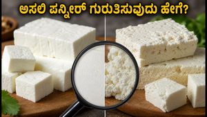 ರಕ್ಷಾಬಂಧನಕ್ಕೆ ಪನ್ನೀರ್ ಖರೀದಿಸುವ ಮುನ್ನ ಎಚ್ಚರ: ಕಲಬೆರಕೆ ಪತ್ತೆ ಹಚ್ಚುವುದು ಹೇಗೆ?