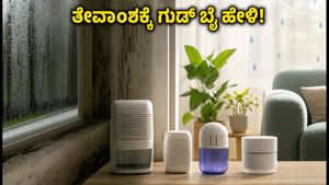ಮಳೆಗಾಲದ ತೇವಾಂಶಕ್ಕೆ ಗುಡ್ ಬೈ: ₹1,499 ರೊಳಗೆ ಸಿಗುವ ಬೆಸ್ಟ್ ಡಿಹ್ಯೂಮಿಡಿಫೈಯರ್ ಮತ್ತು ಟಿಪ್ಸ್!