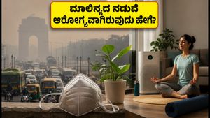 ದೆಹಲಿ ವಾಯು ಮಾಲಿನ್ಯ: ಆರೋಗ್ಯ ಕಾಪಾಡಿಕೊಳ್ಳಲು 12 ನಿಮಿಷದ ವರ್ಕೌಟ್ ಮತ್ತು ಸುರಕ್ಷತಾ ಟಿಪ್ಸ್