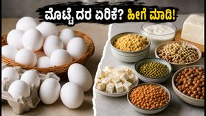ಮೊಟ್ಟೆ ದರ ಏರಿಕೆ ಚಿಂತೆಯೇ? ಕಡಿಮೆ ಬಜೆಟ್‌ನಲ್ಲಿ ಪ್ರೋಟೀನ್ ಪಡೆಯಲು ಈ ಸ್ಮಾರ್ಟ್ ಟಿಪ್ಸ್ ಫಾಲೋ ಮಾಡಿ