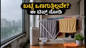 ಮಳೆಗಾಲದಲ್ಲಿ ಬಟ್ಟೆ ಒಣಗುತ್ತಿಲ್ಲವೇ? ಅಪಾರ್ಟ್‌ಮೆಂಟ್‌ನಲ್ಲಿ ಬೂಷ್ಟು ತಡೆಯಲು ಇಲ್ಲಿದೆ 15 ನಿಮಿಷದ ಸಿಂಪಲ್ ಟಿಪ್ಸ್!