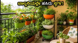 ಲಾಲ್‌ಬಾಗ್ ಫಲಪುಷ್ಪ ಪ್ರದರ್ಶನ: ನಿಮ್ಮ ಬಾಲ್ಕನಿಯಲ್ಲಿಯೇ ಸೃಷ್ಟಿಸಿ ಹಸಿರು ಸ್ವರ್ಗ!
