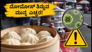 ಮುಂಬೈನಲ್ಲಿ ಮೋಮೋಸ್ ತಿಂದ 16 ಮಂದಿಗೆ ಫುಡ್ ಪಾಯಿಸನಿಂಗ್: ಹೊರಬಂತು ಶಾಕಿಂಗ್ ಸತ್ಯ, ಸುರಕ್ಷಿತವಾಗಿರುವುದು ಹೇಗೆ?