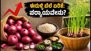 ಈರುಳ್ಳಿ ಬೆಲೆ ಏರಿಕೆ: ಅಡುಗೆಮನೆಯ ಬಜೆಟ್ ಉಳಿಸಲು ಸರಳ ಟಿಪ್ಸ್ ಮತ್ತು ಪರ್ಯಾಯಗಳು!
