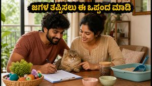 ಬೆಕ್ಕು ಸಾಕುವ ದಂಪತಿಗಳೇ ಎಚ್ಚರ! ಜಗಳ ತಪ್ಪಿಸಲು ಈ 'ಪೆಟ್-ಕೇರ್ ಒಪ್ಪಂದ' ಕಡ್ಡಾಯ