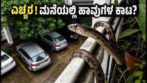 ಬೆಂಗಳೂರಿನಲ್ಲಿ ಮಳೆಗಾಲ: ನಿಮ್ಮ ಅಪಾರ್ಟ್‌ಮೆಂಟ್‌ನಲ್ಲಿ ಹಾವುಗಳ ಕಾಟವೇ? ಈ ಮುನ್ನೆಚ್ಚರಿಕೆ ಕ್ರಮಗಳನ್ನು ತಪ್ಪದೇ ಪಾಲಿಸಿ!