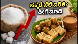ಸಕ್ಕರೆ ಬೆಲೆ ಏರಿಕೆ ಬಿಸಿ: ಹಬ್ಬದ ಸಿಹಿ ಬಜೆಟ್ ಉಳಿಸಲು ಇಲ್ಲಿದೆ 300 ರೂಪಾಯಿಯ ಸ್ಮಾರ್ಟ್ ಟಿಪ್ಸ್
