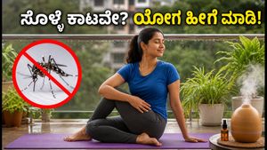 ವಿಶ್ವ ಸೊಳ್ಳೆ ದಿನ: ಮಳೆಗಾಲದಲ್ಲಿ ಬಾಲ್ಕನಿಯಲ್ಲಿ ಯೋಗ ಮಾಡುವಾಗ ಸೊಳ್ಳೆ ಕಡಿತದಿಂದ ಪಾರಾಗುವುದು ಹೇಗೆ?