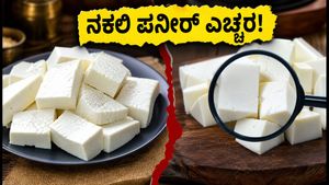 ಹಬ್ಬದ ಸೀಸನ್‌ನಲ್ಲಿ ಎಚ್ಚರ! ಮಾರುಕಟ್ಟೆಯಲ್ಲಿ ನಕಲಿ 'ಅನಲಾಗ್ ಪನೀರ್' ಹಾವಳಿ: ಅಸಲಿ ಪನೀರ್ ಗುರುತಿಸುವುದು ಹೇಗೆ?