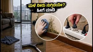 ಬೆಂಗಳೂರು ಮಳೆ: ಮನೆಯಲ್ಲಿ ನೀರು ನುಗ್ಗಿದೆಯೇ? ತೇವ ಮತ್ತು ದುರ್ವಾಸನೆ ಹೋಗಲಾಡಿಸಲು ಇಲ್ಲಿವೆ ಸರಳ ಟಿಪ್ಸ್!