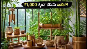 ₹1,000 ಕ್ಕಿಂತ ಕಡಿಮೆ ಬಜೆಟ್‌ನಲ್ಲಿ ಮನೆಗೆ ಹೊಸ ಲುಕ್: ಬಿದಿರಿನ ಅಲಂಕಾರಿಕ ವಸ್ತುಗಳ ಮ್ಯಾಜಿಕ್!