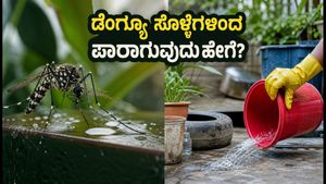 ಬೆಳಗಿನ ವಾಕಿಂಗ್ ಹೋಗ್ತಿದ್ದೀರಾ? ಡೆಂಗ್ಯೂ ಸೊಳ್ಳೆಗಳಿಂದ ಪಾರಾಗಲು ಈ ಸರಳ ಟಿಪ್ಸ್ ಮಿಸ್ ಮಾಡ್ಬೇಡಿ!