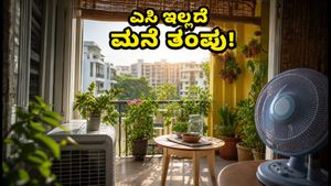ಬೆಂಗಳೂರಿನ ಬಿಸಿಲಿಗೆ ಹೈರಾಣಾಗಿದ್ದೀರಾ? ಎಸಿ ಇಲ್ಲದೆ ಮನೆ ತಂಪು ಮಾಡೋದು ಹೇಗೆ? ಇಲ್ಲಿದೆ ಸಿಂಪಲ್ ಟಿಪ್ಸ್