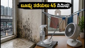 ದೆಹಲಿ ಮಳೆ: ನಿಮ್ಮ ಮನೆಯಲ್ಲಿ ಬೂಷ್ಟು ಮತ್ತು ತೇವಾಂಶ ತಡೆಯಲು 45 ನಿಮಿಷದ ಸಿಂಪಲ್ ಪ್ಲಾನ್!