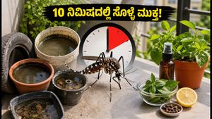 ಡೆಂಗ್ಯೂ ಭೀತಿ: ಕೇವಲ 10 ನಿಮಿಷದಲ್ಲಿ ನಿಮ್ಮ ಮನೆಯಲ್ಲಿ ಸೊಳ್ಳೆಗಳ ಸಂತಾನೋತ್ಪತ್ತಿ ತಡೆಯಿರಿ