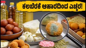 ಹಬ್ಬದ ಸೀಸನ್: ಕಲಬೆರಕೆ ಆಹಾರದಿಂದ ಎಚ್ಚರ! ಮಹಾರಾಷ್ಟ್ರ FDA ಕಠಿಣ ತಪಾಸಣೆ ಆರಂಭ