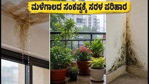 ಮಳೆಗಾಲದ ಎಚ್ಚರಿಕೆ: ಅಪಾರ್ಟ್‌ಮೆಂಟ್ ಸೋರಿಕೆ ತಡೆಯಲು ಮತ್ತು ನಿಮ್ಮ ಮನೆಯನ್ನು ಸುರಕ್ಷಿತವಾಗಿಡಲು ಸರಳ ಉಪಾಯಗಳು