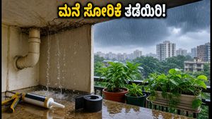 ಮಳೆಗಾಲದ ಎಚ್ಚರಿಕೆ: ಮುಂಬೈ-ಪುಣೆಯಲ್ಲಿ ಮನೆ ಸೋರಿಕೆ ತಡೆಯಲು 30 ನಿಮಿಷದ ಸಿಂಪಲ್ ಟಿಪ್ಸ್
