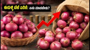 ಈರುಳ್ಳಿ ಬೆಲೆ ಏರಿಕೆ: ಬಜೆಟ್ ಉಳಿಸಲು ಮತ್ತು ಈರುಳ್ಳಿ ದೀರ್ಘಕಾಲ ಸಂಗ್ರಹಿಸಲು ಸರಳ ಟಿಪ್ಸ್